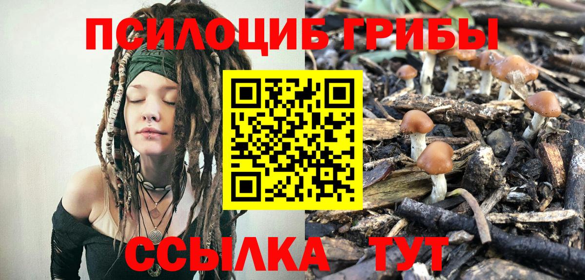 Галлюциногенные грибы мухоморы Энгельс