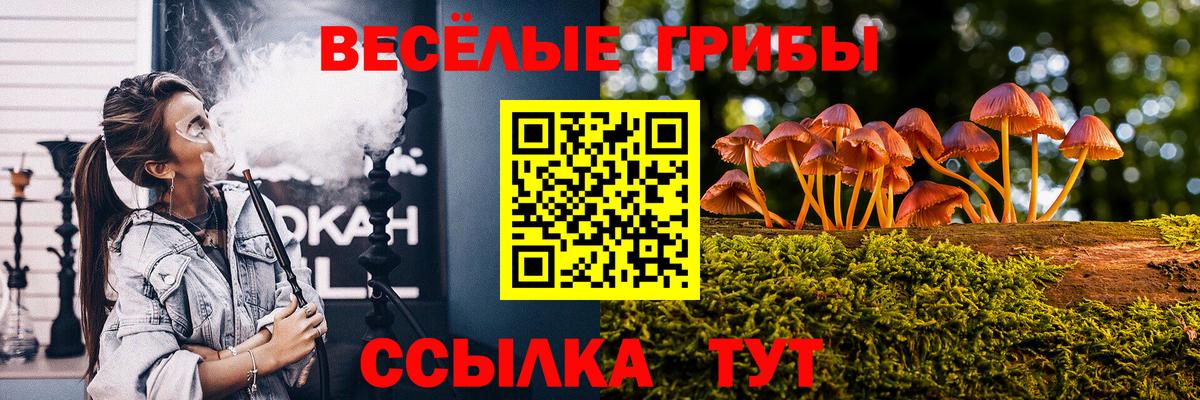 купить наркотики цена  Вход с VPN  Энгельс  Псилоцибиновые грибы MAGIC MUSHROOMS 